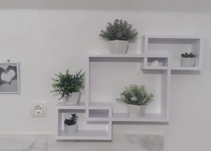 Marija Anchor ザダル