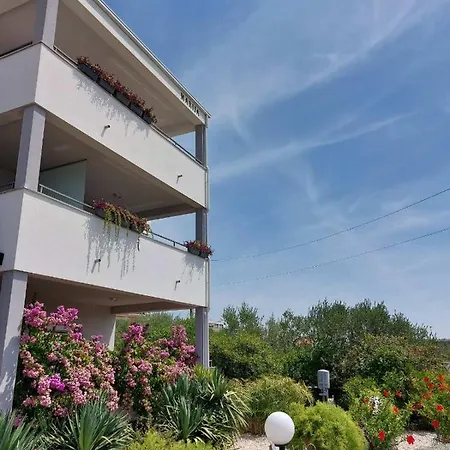 Marija Anchor * 扎达尔